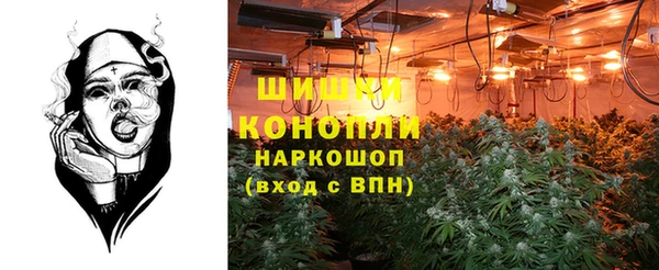 мяу мяу мука Медвежьегорск